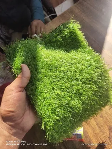 artificial grass truf imported