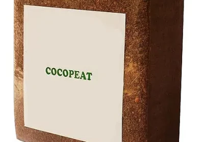 Cocopeat,Cocopeat block best compose for fertilizer Sell In Karachi