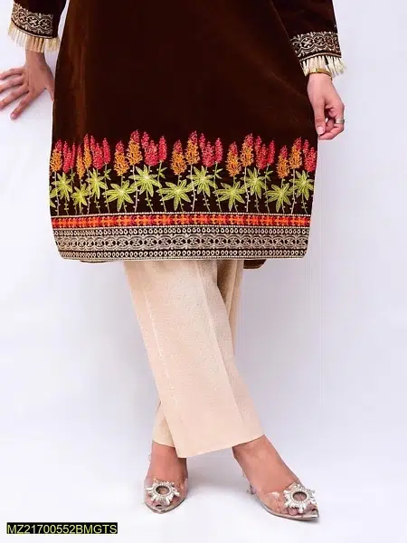 velvet embroidered 2 piece from sindh