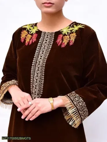 velvet embroidered 2 piece from sindh