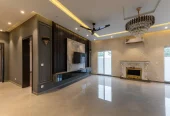 1 Kanal Brand New House For Rent In Dha Phase 6