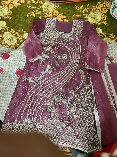 organza suit with jewellery work