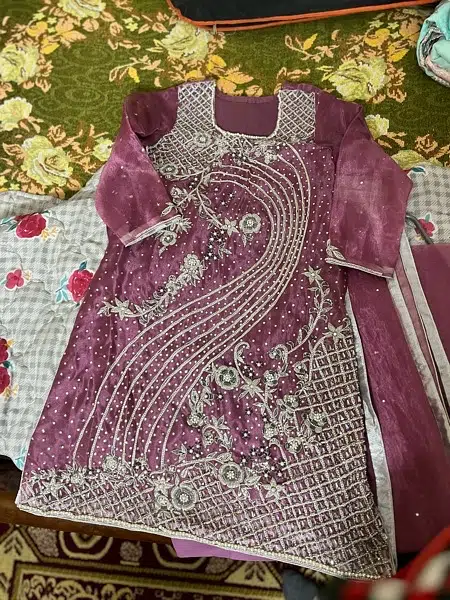 organza suit with jewellery work