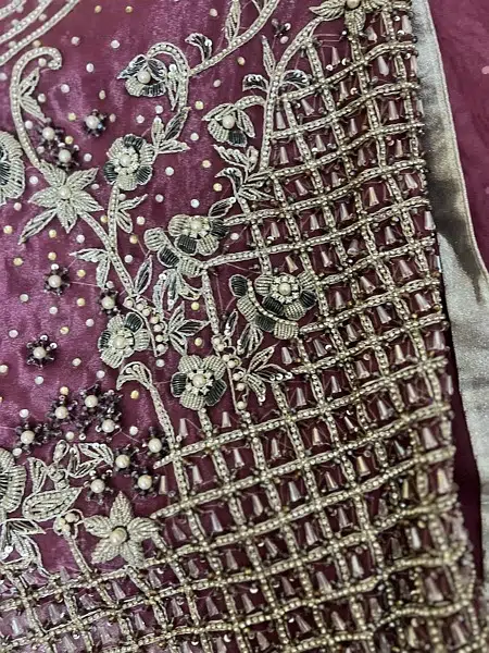 organza suit with jewellery work