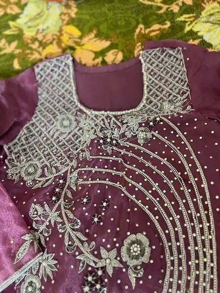 organza suit with jewellery work