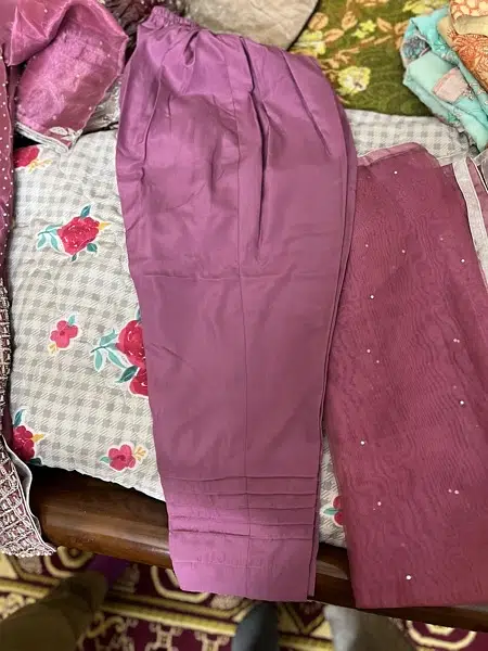 organza suit with jewellery work