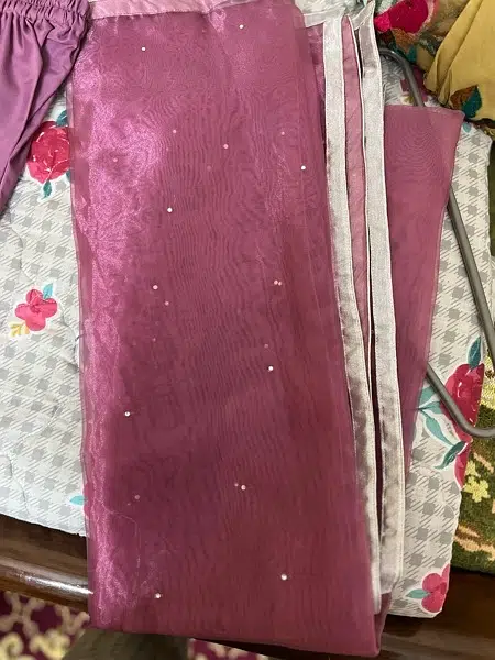 organza suit with jewellery work