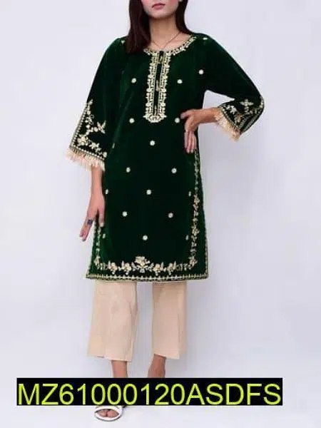 Embroidered Velvet Clothes