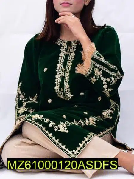 Embroidered Velvet Clothes