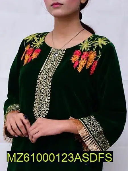 Embroidered Velvet Clothes