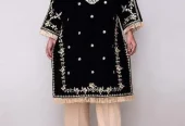 Embroidered Velvet Clothes