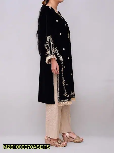 Embroidered Velvet Clothes