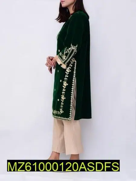 Embroidered Velvet Clothes