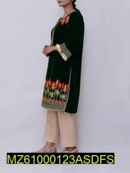 Embroidered Velvet Clothes