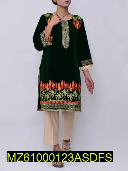 Embroidered Velvet Clothes