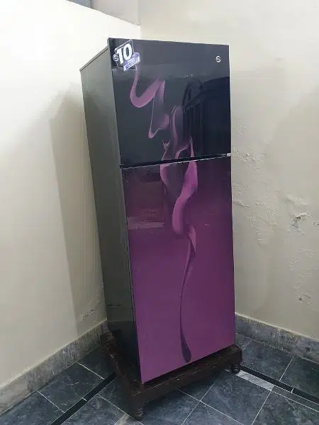 7 years warranty back