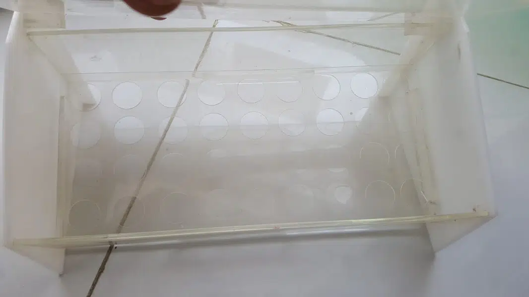 Lipistick holder new