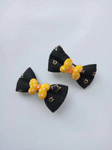 Hair pins 2pcs