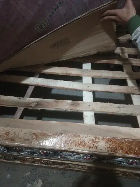 6foot laba or 6foot chori