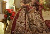 Asian bride dress