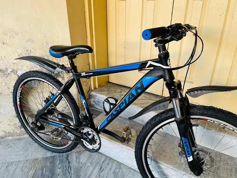 Caspion bicycle Aluminum Frame