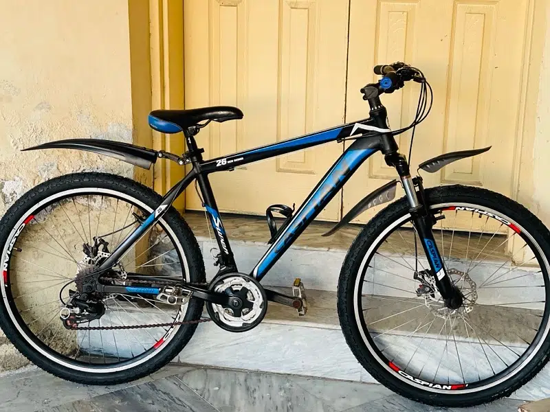 Caspion bicycle Aluminum Frame