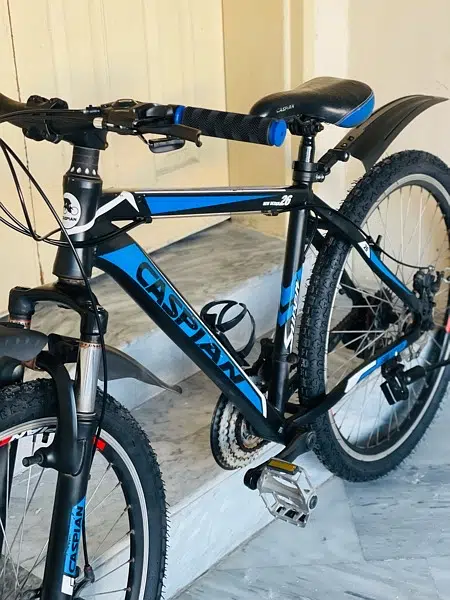 Caspion bicycle Aluminum Frame