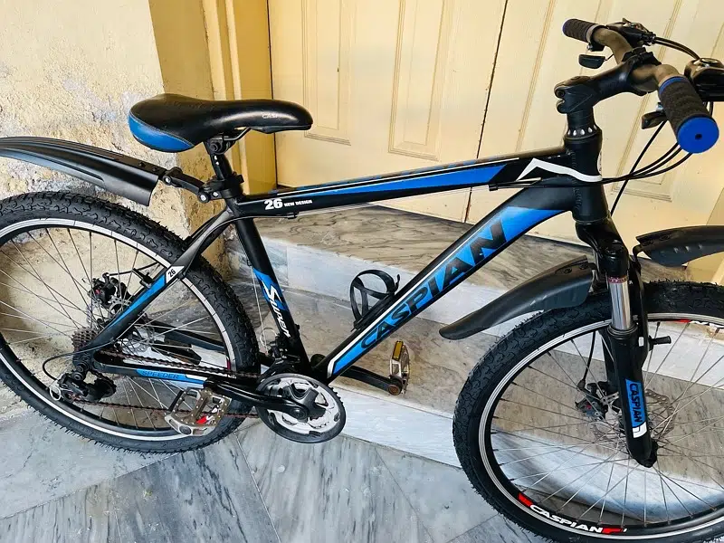 Caspion bicycle Aluminum Frame