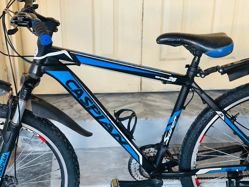 Caspion bicycle Aluminum Frame