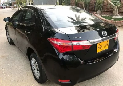 435892434-800×600-1