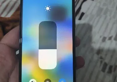 417663129-800×600-1