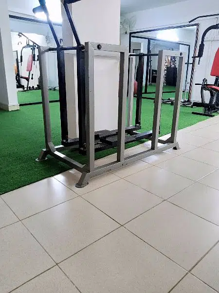 pack deck fly, lat pull down ,leg extension