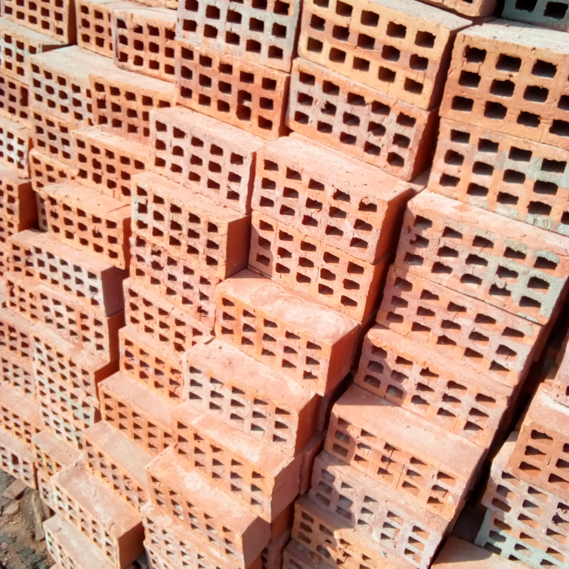 Selected Bricks